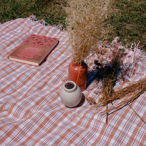 Aree picnic