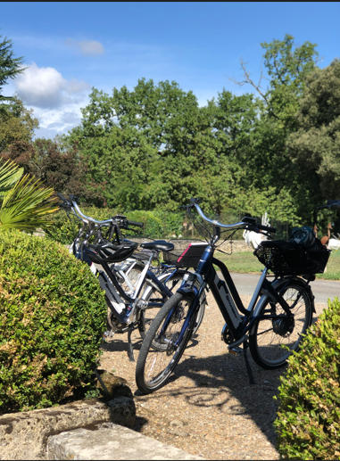 Lovelec 33 - Location de vélo électrique, découverte nature et patrimoine