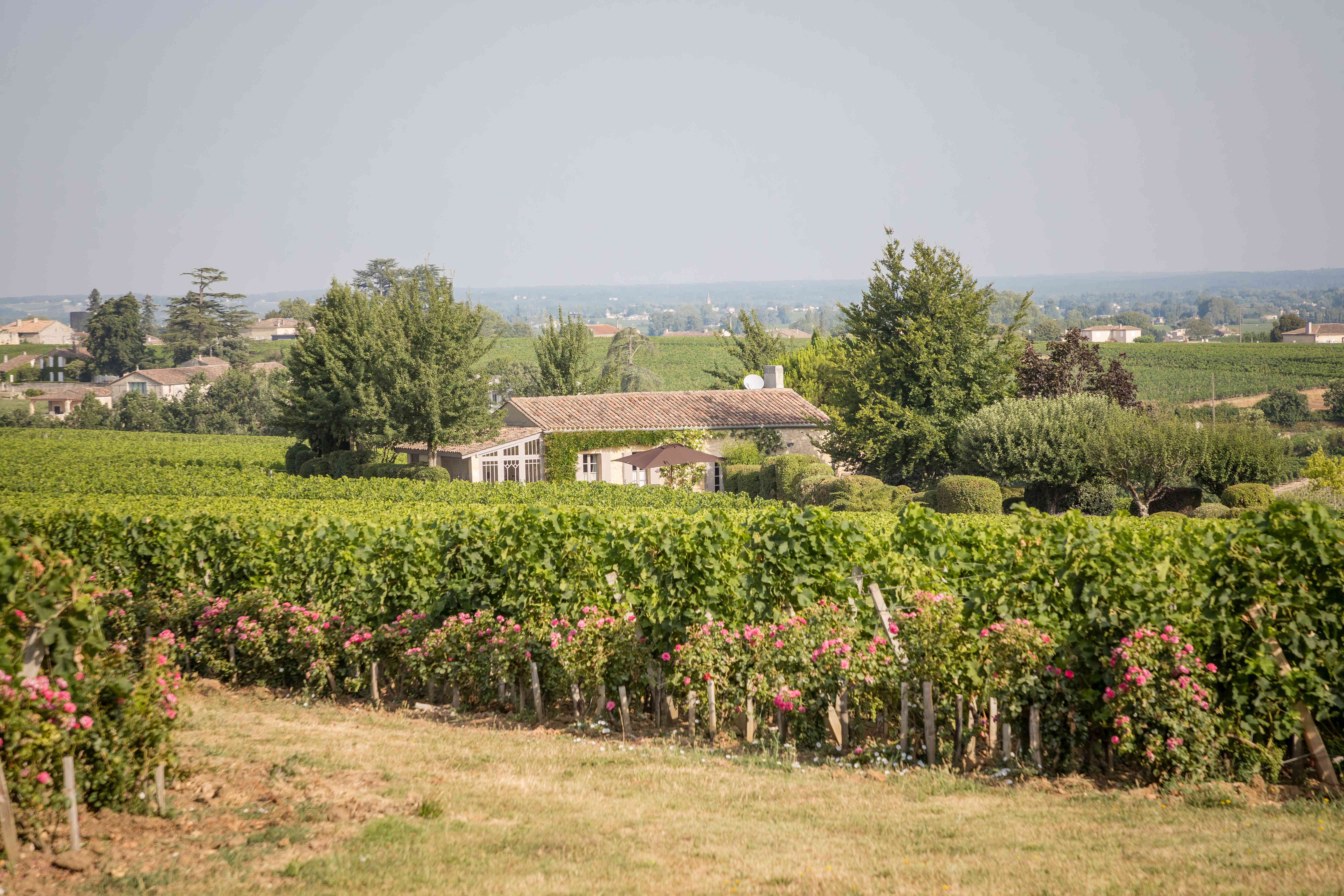 Les Clefs de Troplong Mondot