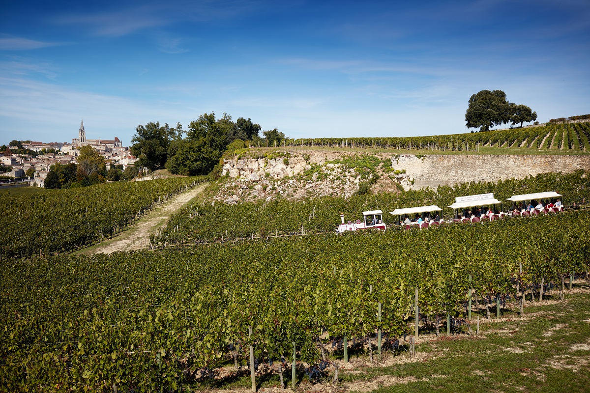 Le Train des Grands Vignobles