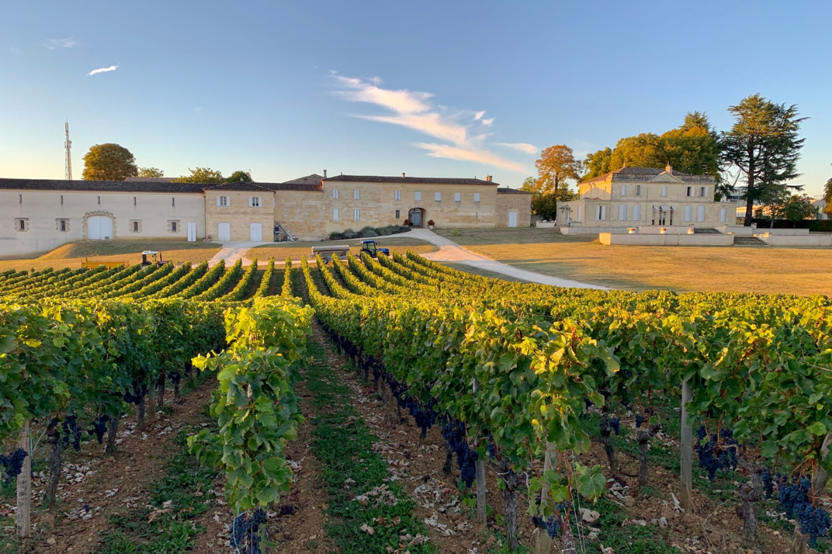 Château Haut-Piquat