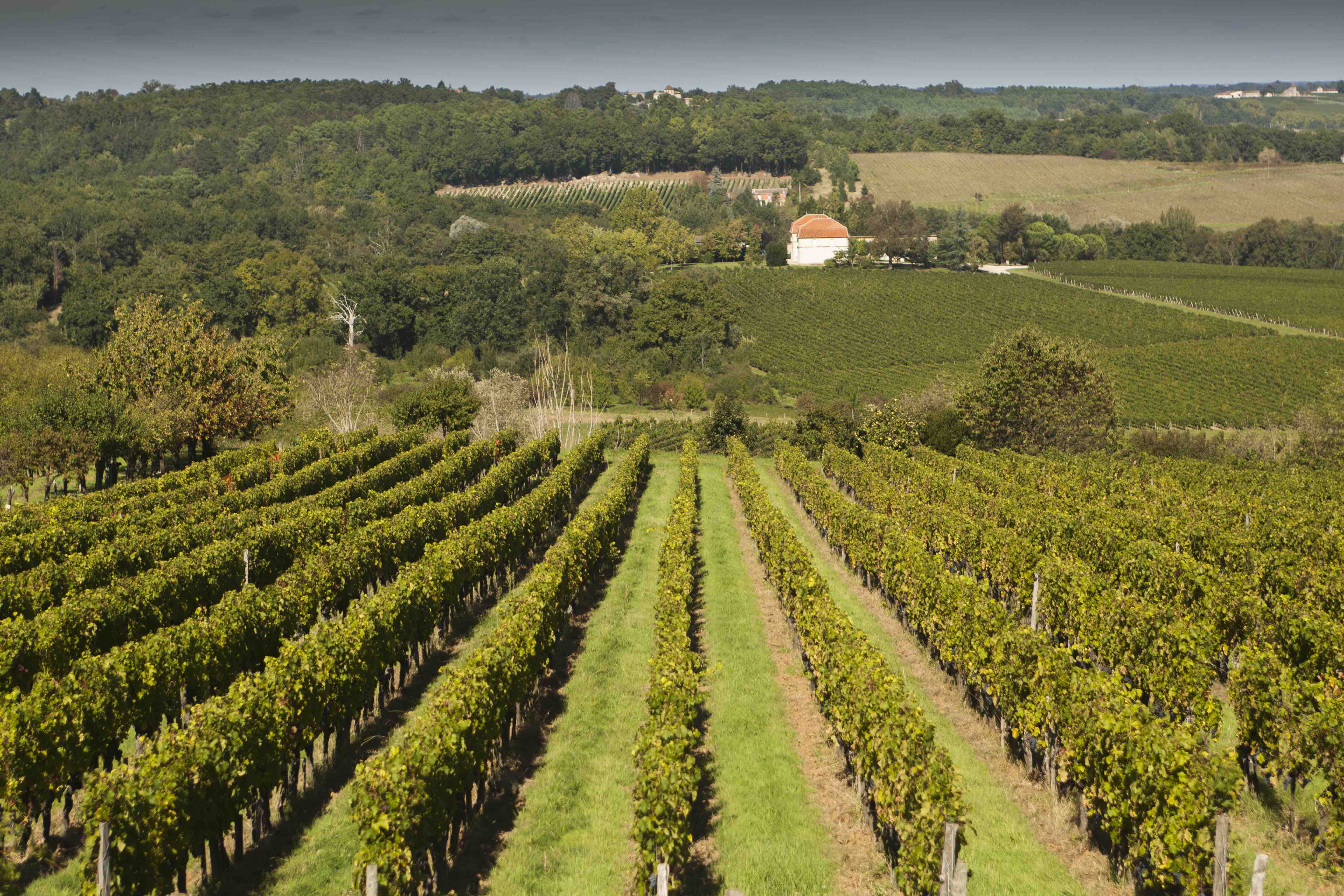 Château des Rochers