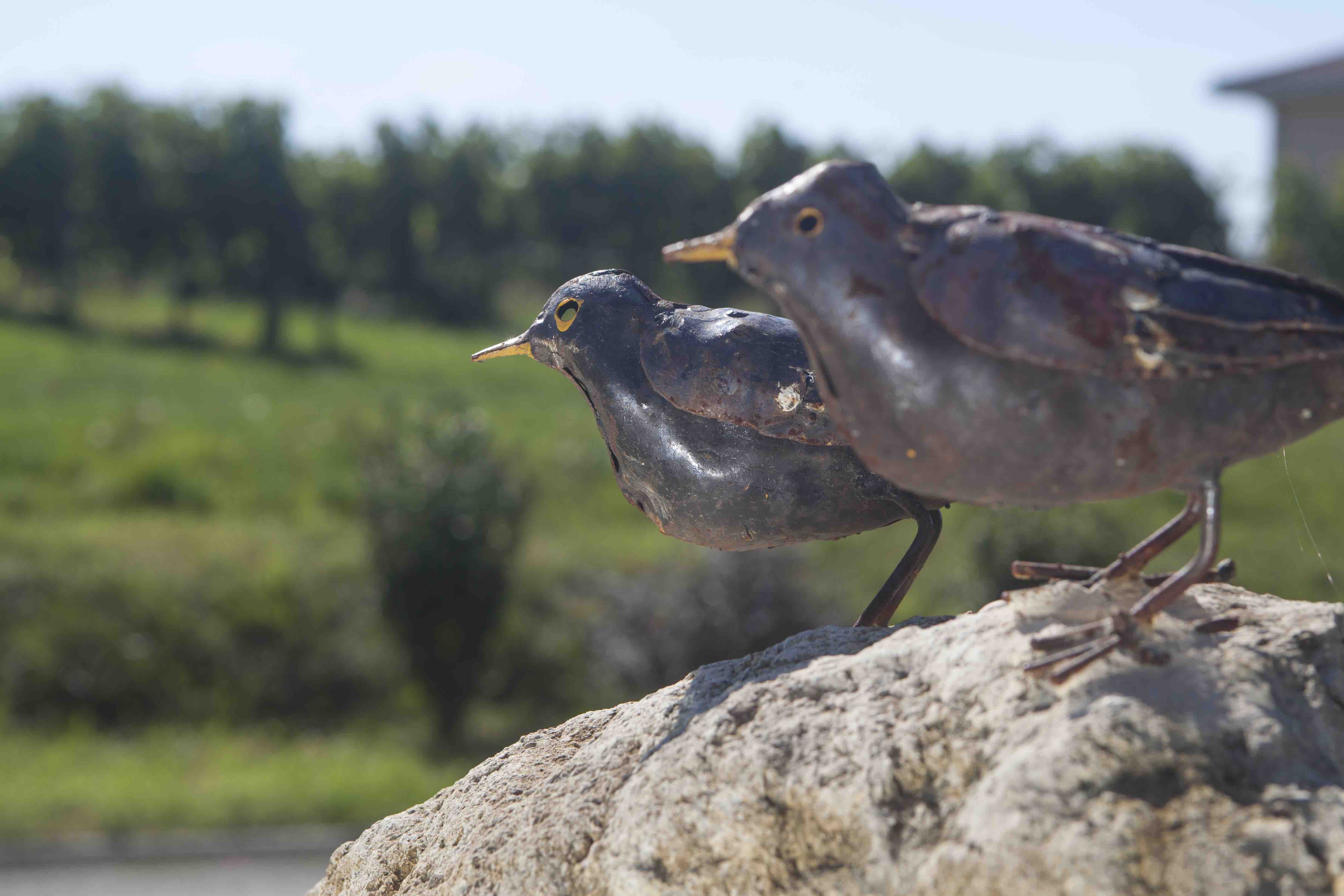 Château des Rochers