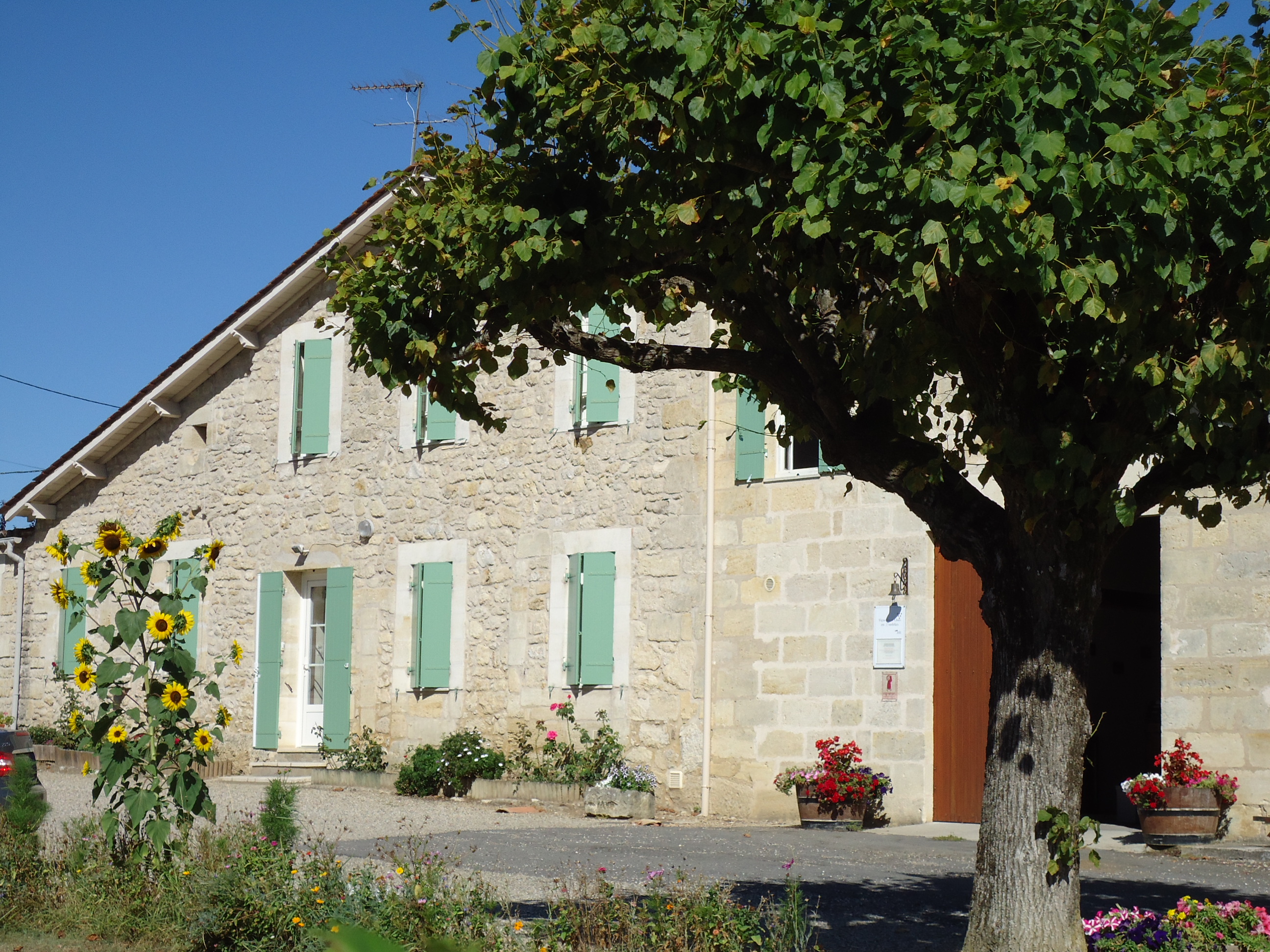 Château Haut Jamard