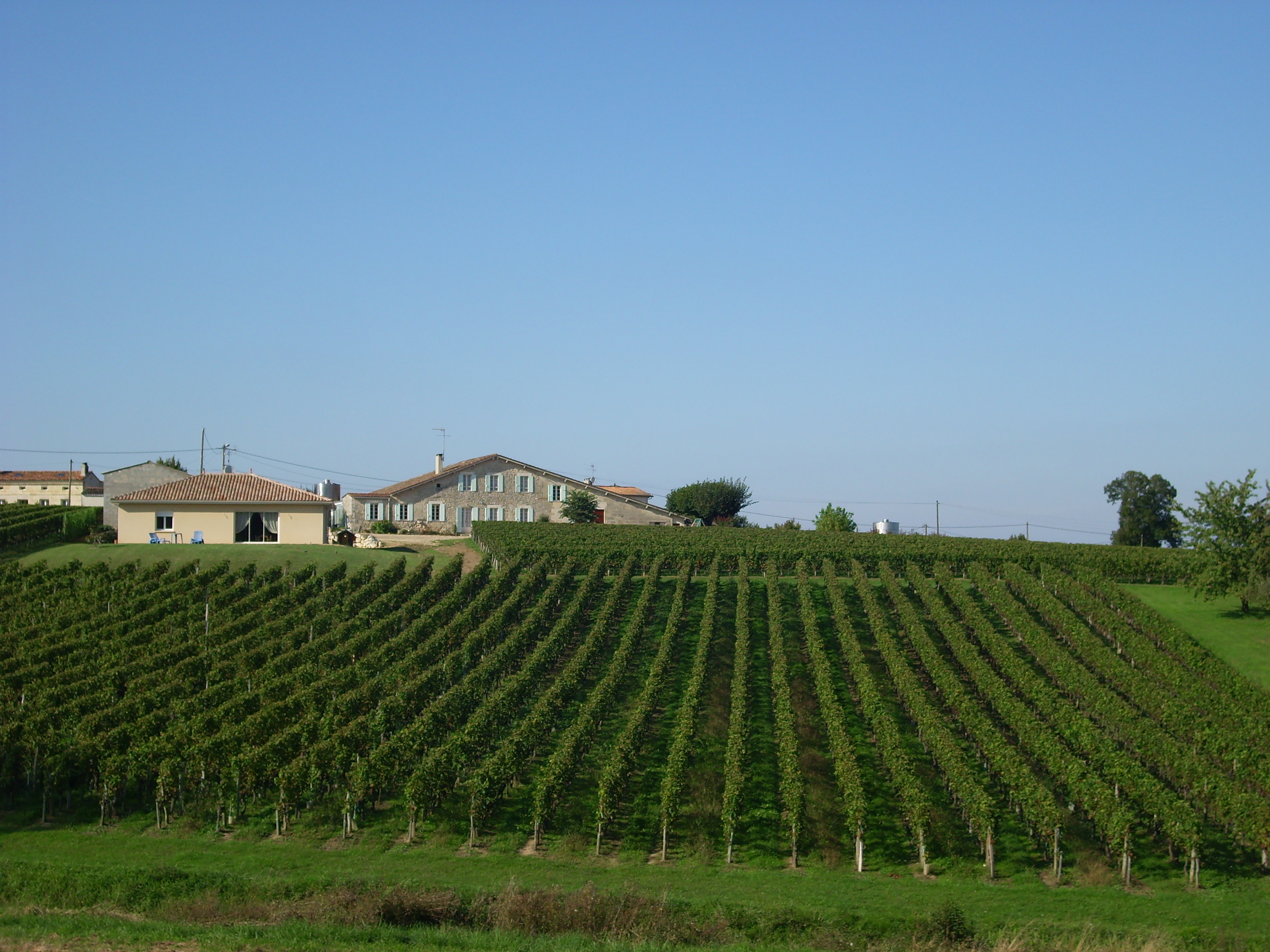 Château Haut Jamard