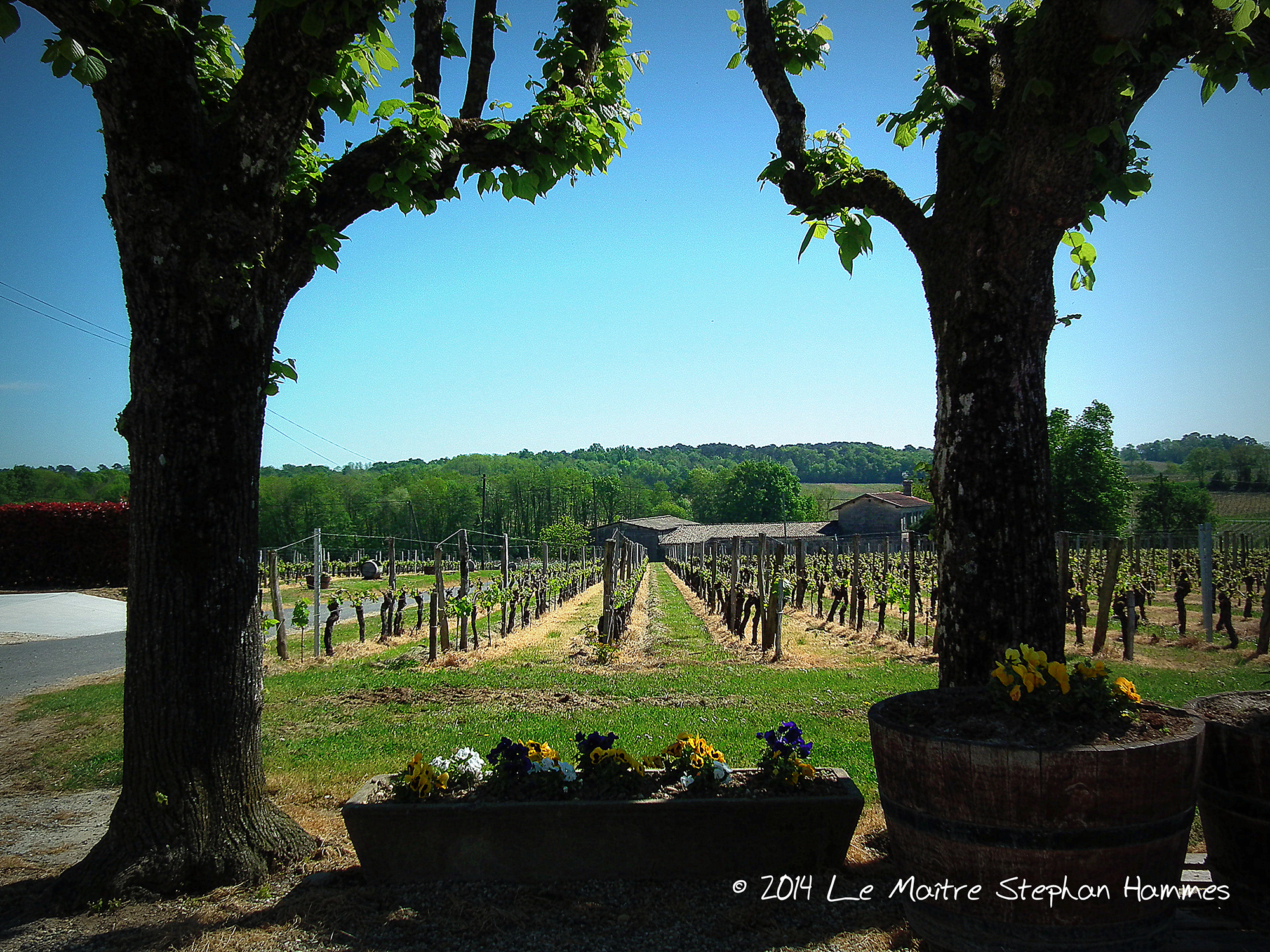 Château Haut Jamard