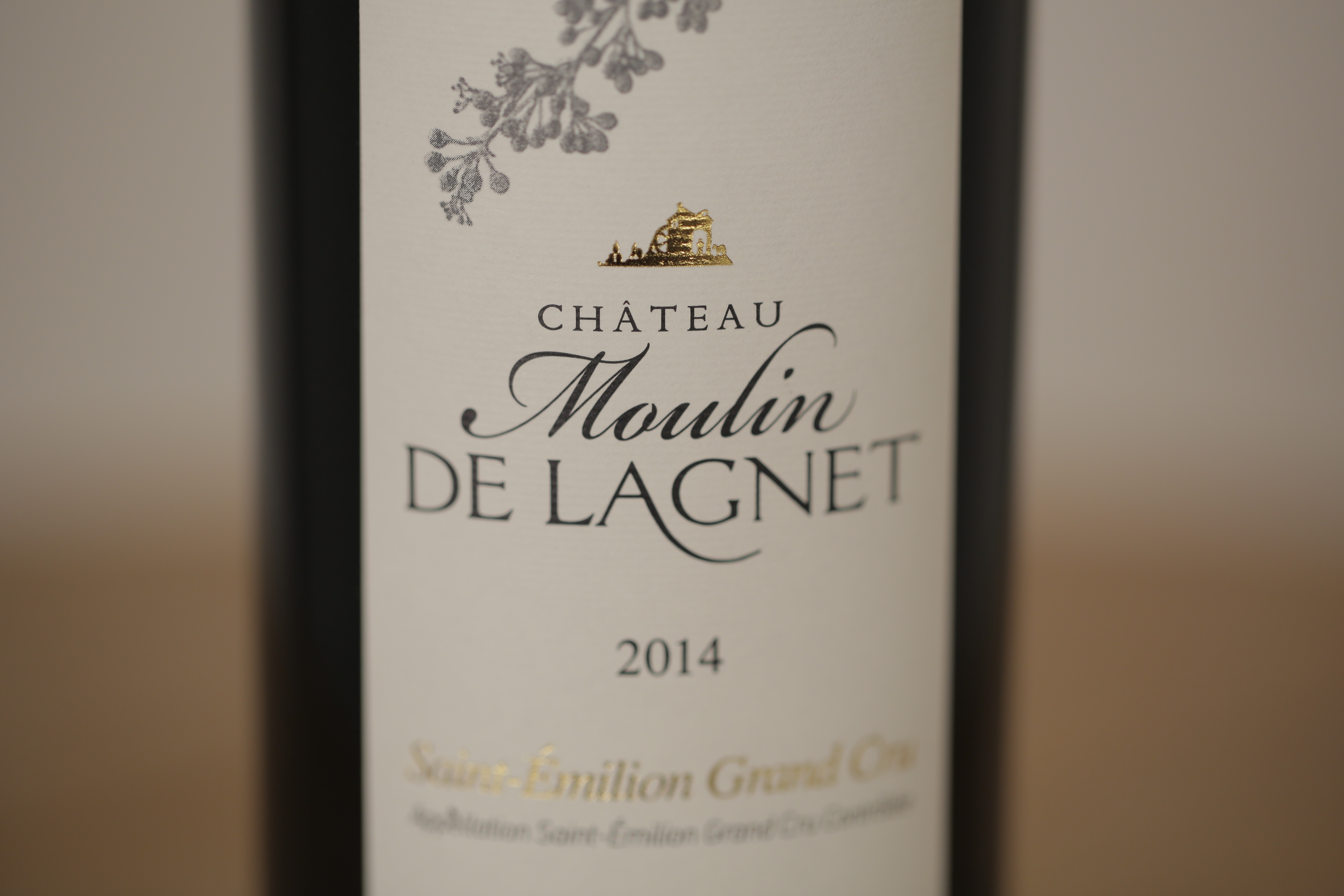 Château Moulin de Lagnet