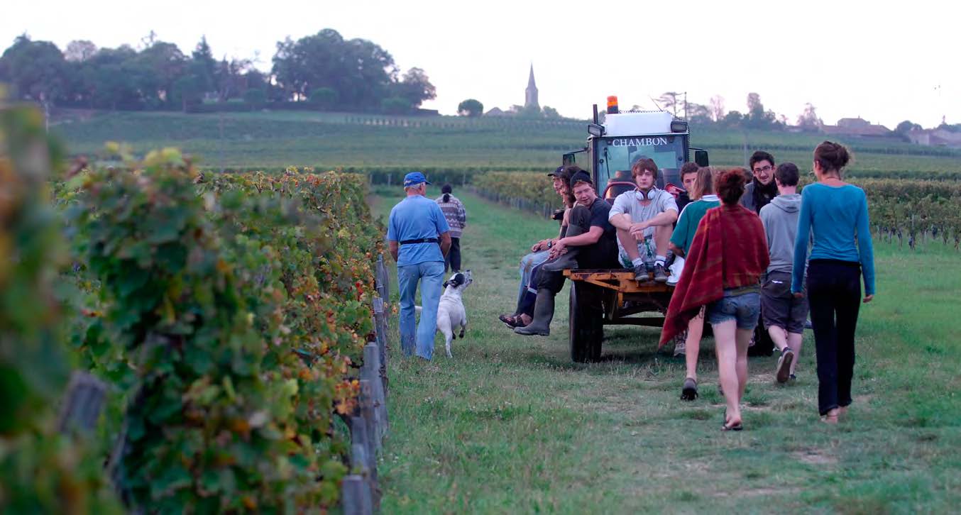 Château Moulin de Lagnet