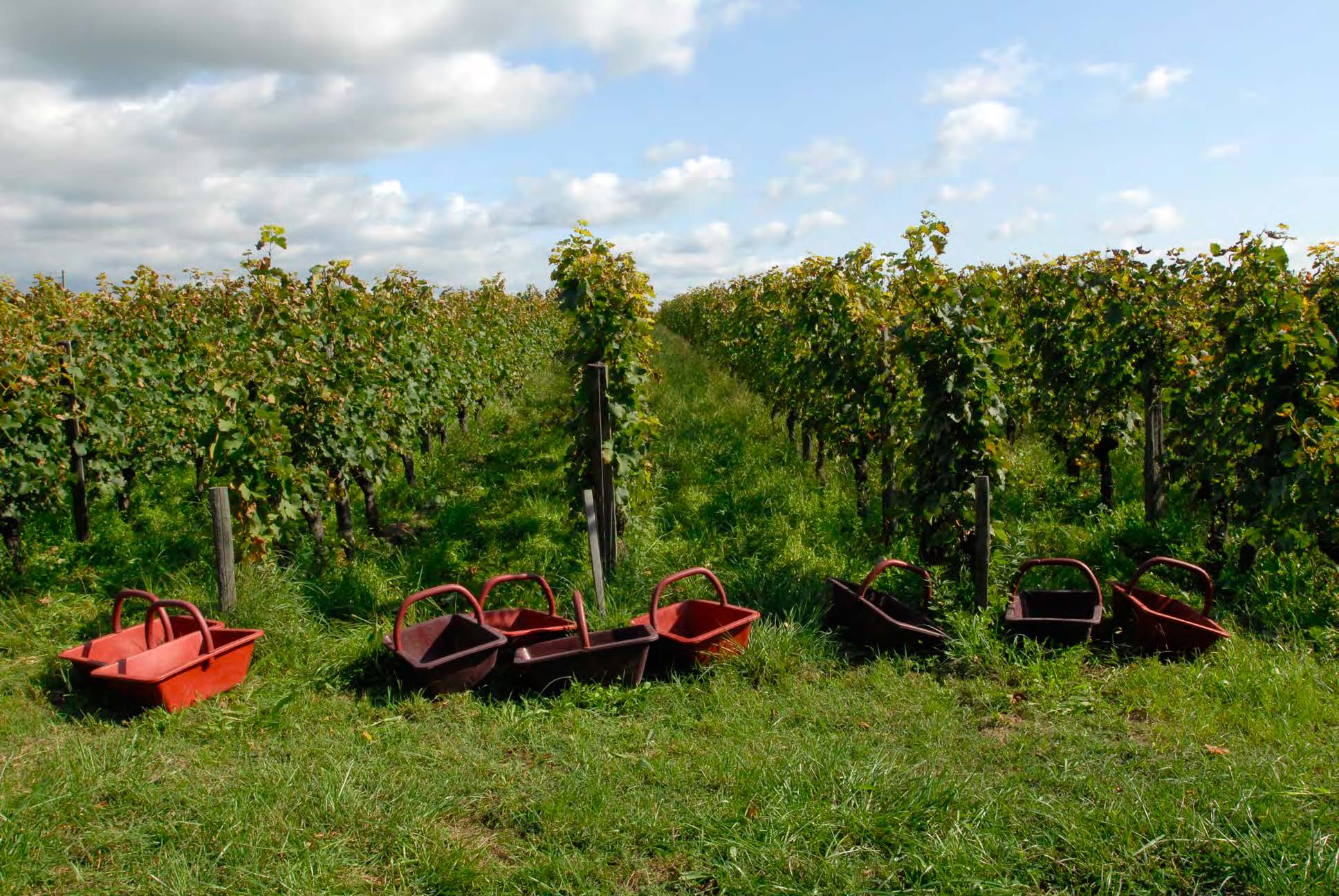 Château Moulin de Lagnet