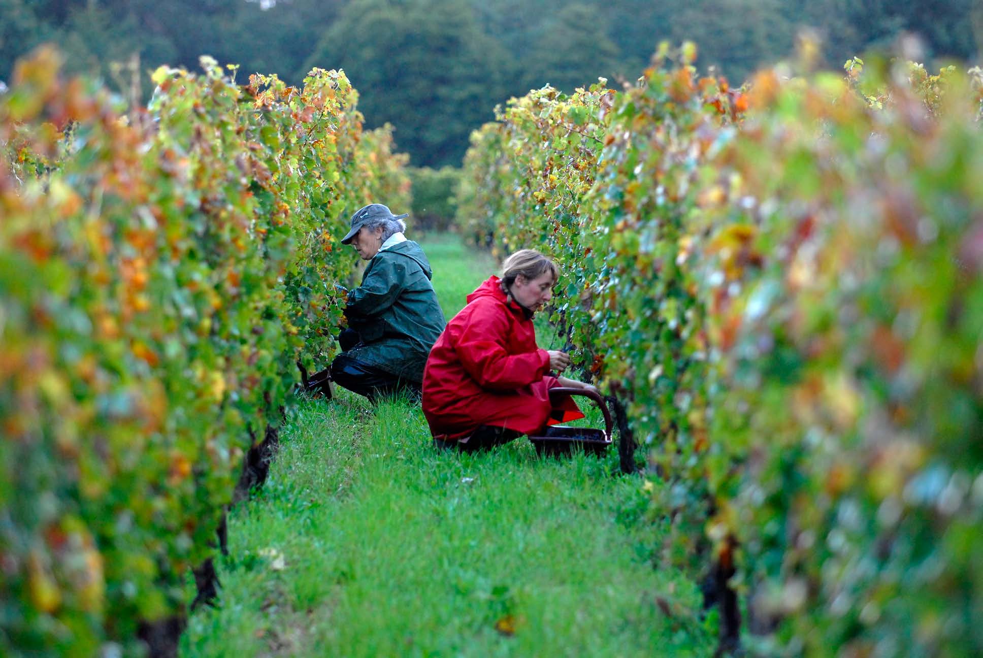 Château Moulin de Lagnet