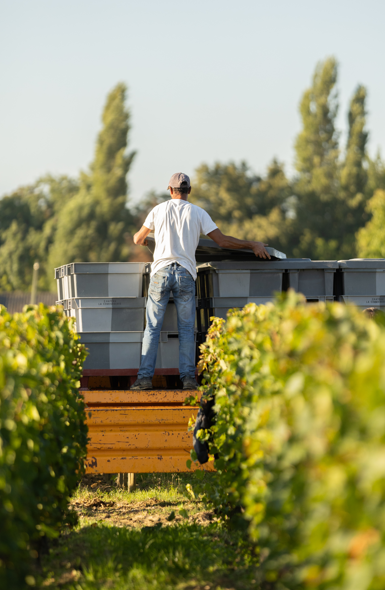 Château de Candale - Vignobles Magali & Thibaut Decoster