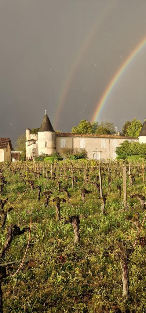 Château Cruzeau - Vignobles LUQUOT