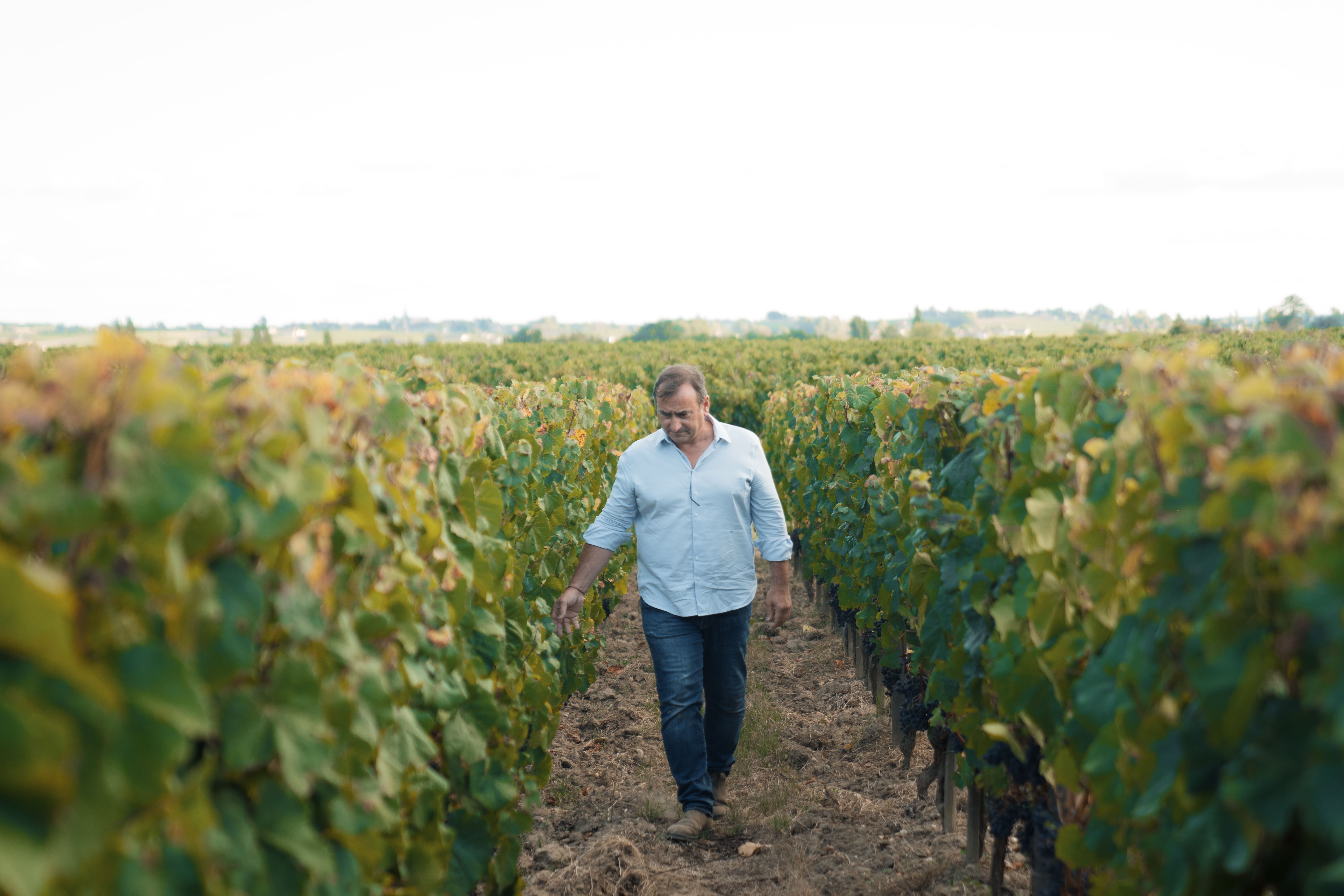 Château Haut Chaigneau