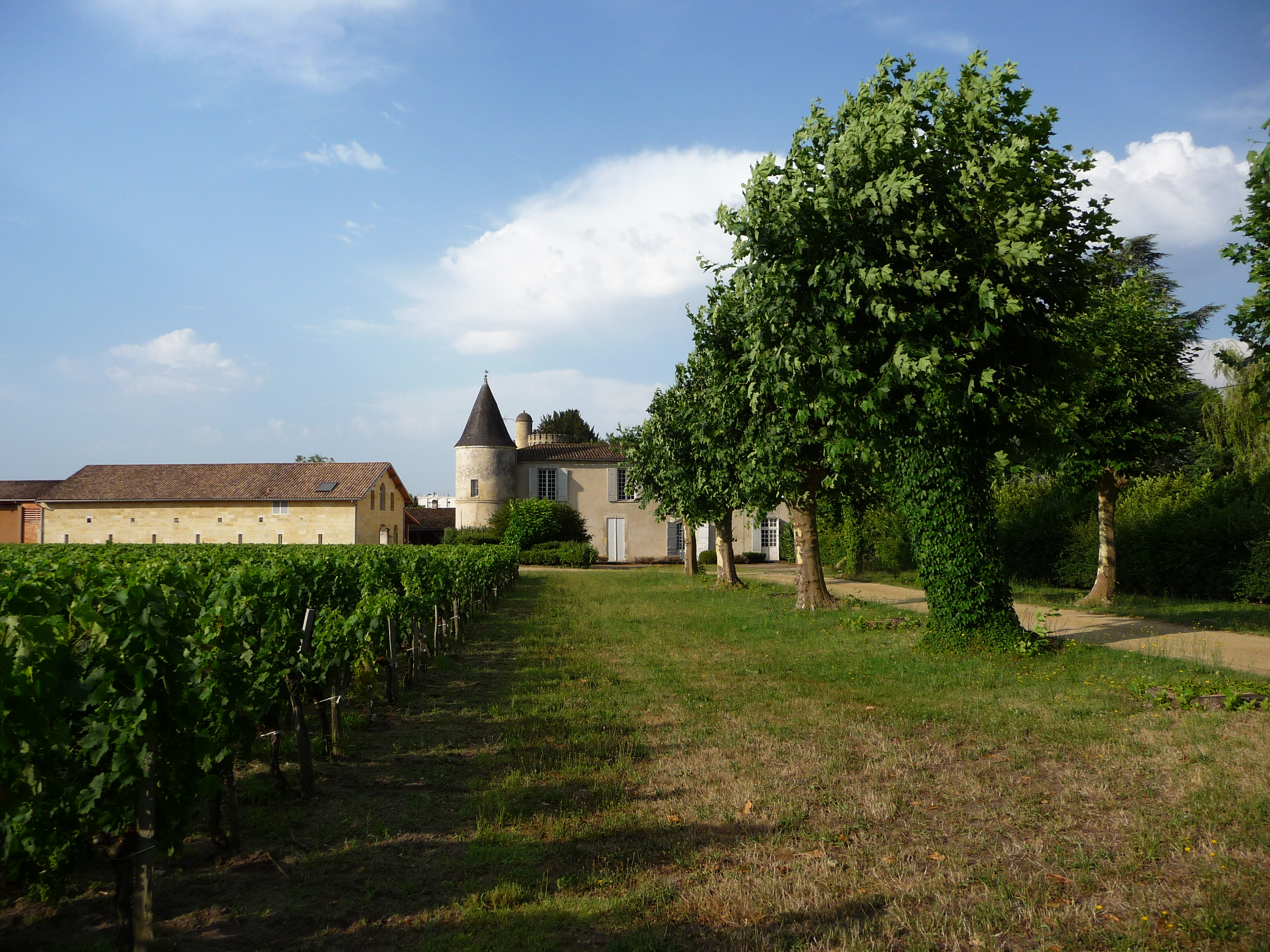 Château Cruzeau - Vignobles LUQUOT