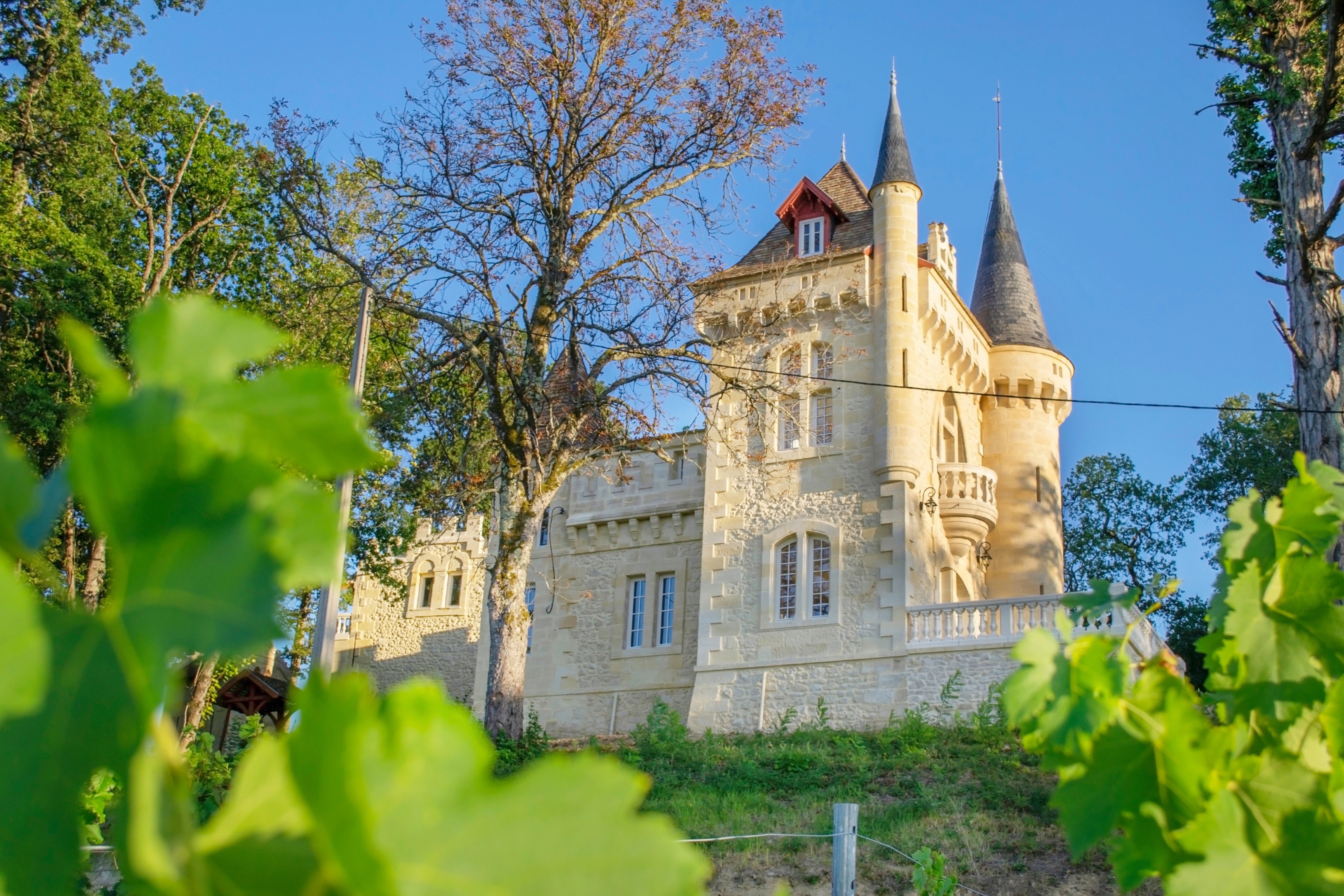 La Réserve du Château de Roques