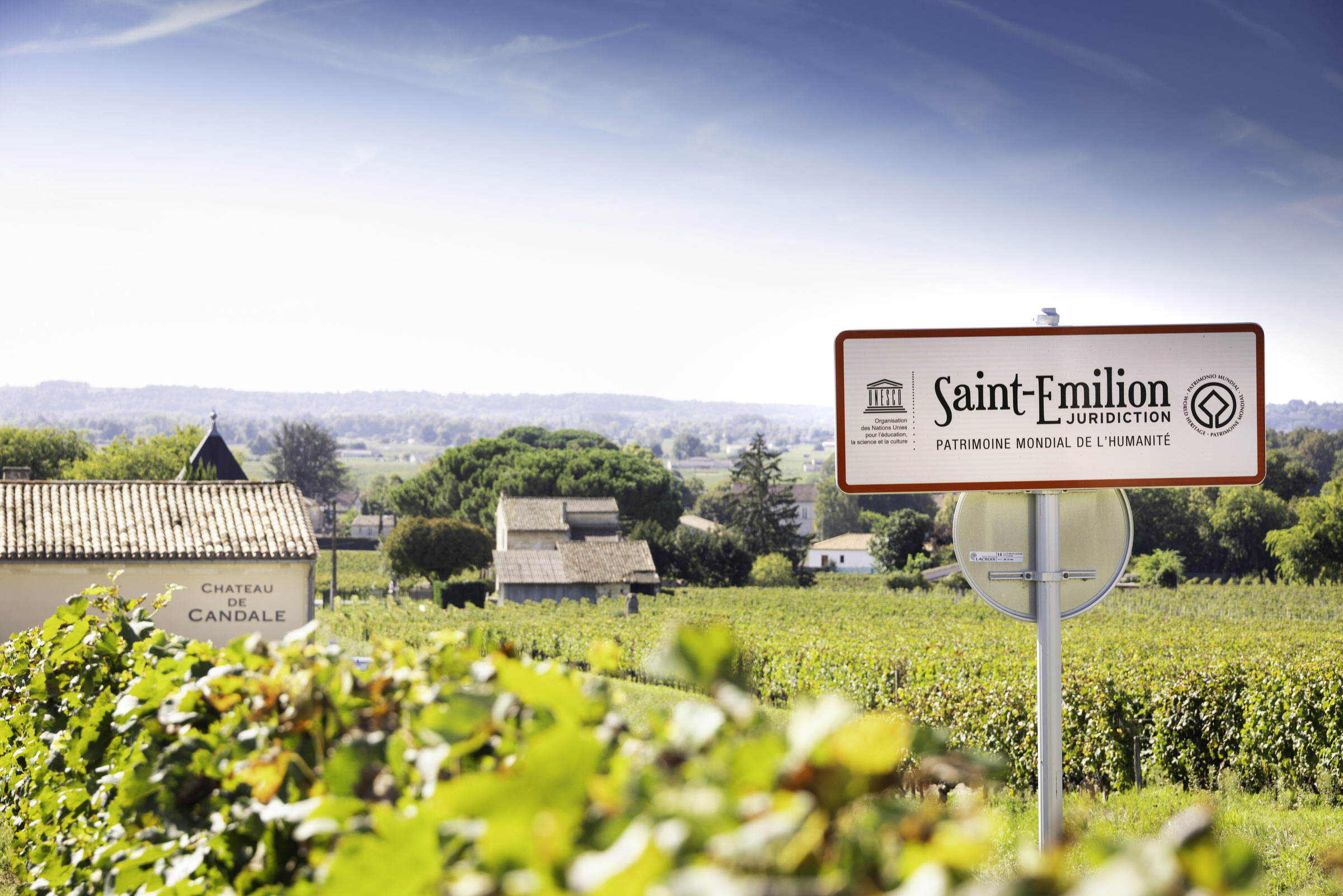Château de Candale - Vignobles Magali & Thibaut Decoster