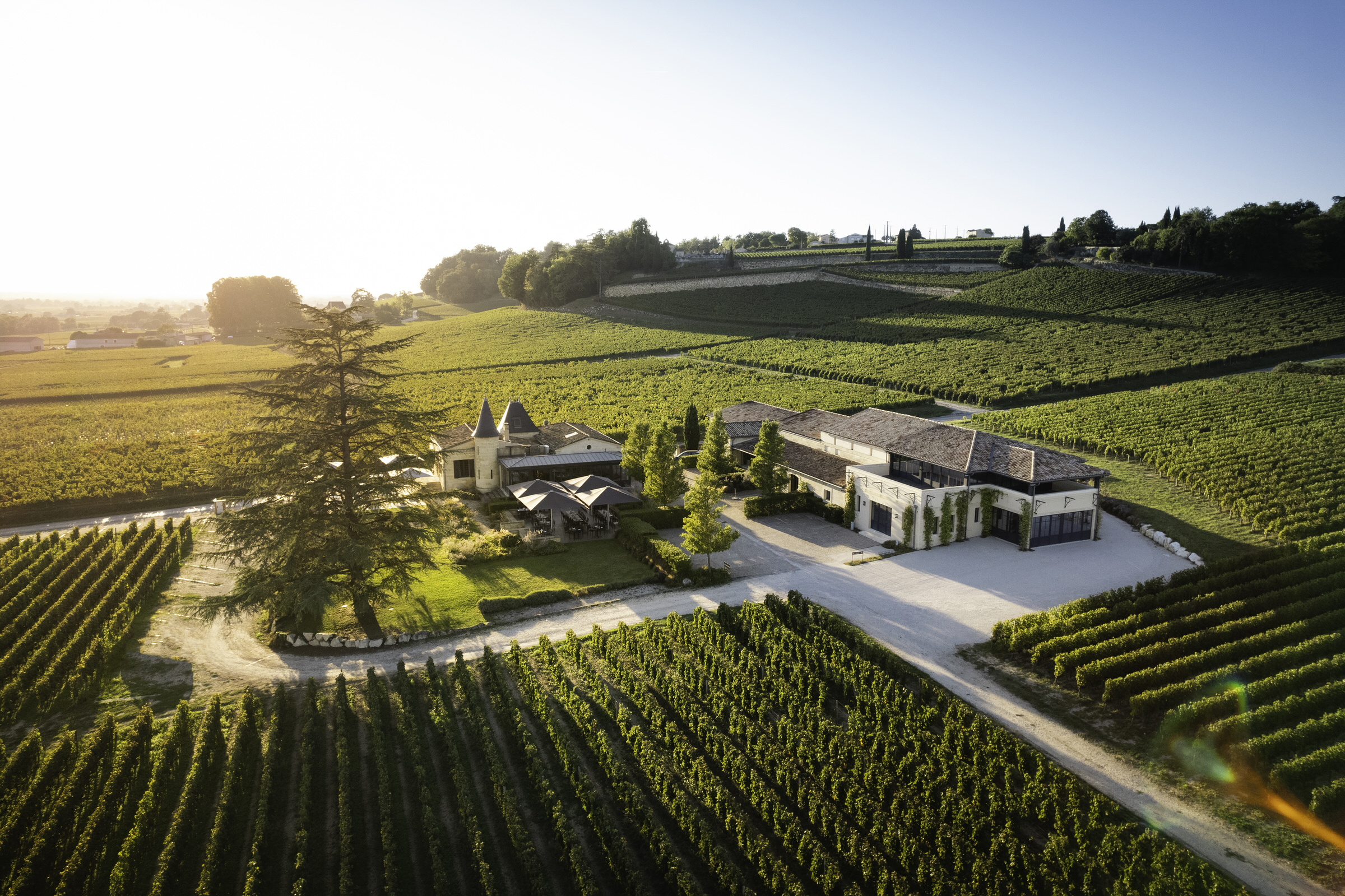 Château de Candale - Vignobles Magali et Thibaut Decoster