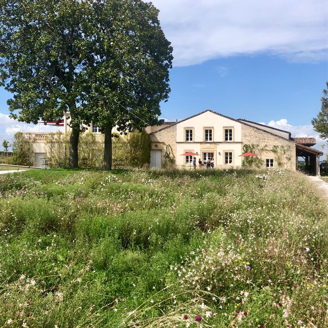 Château Larmande