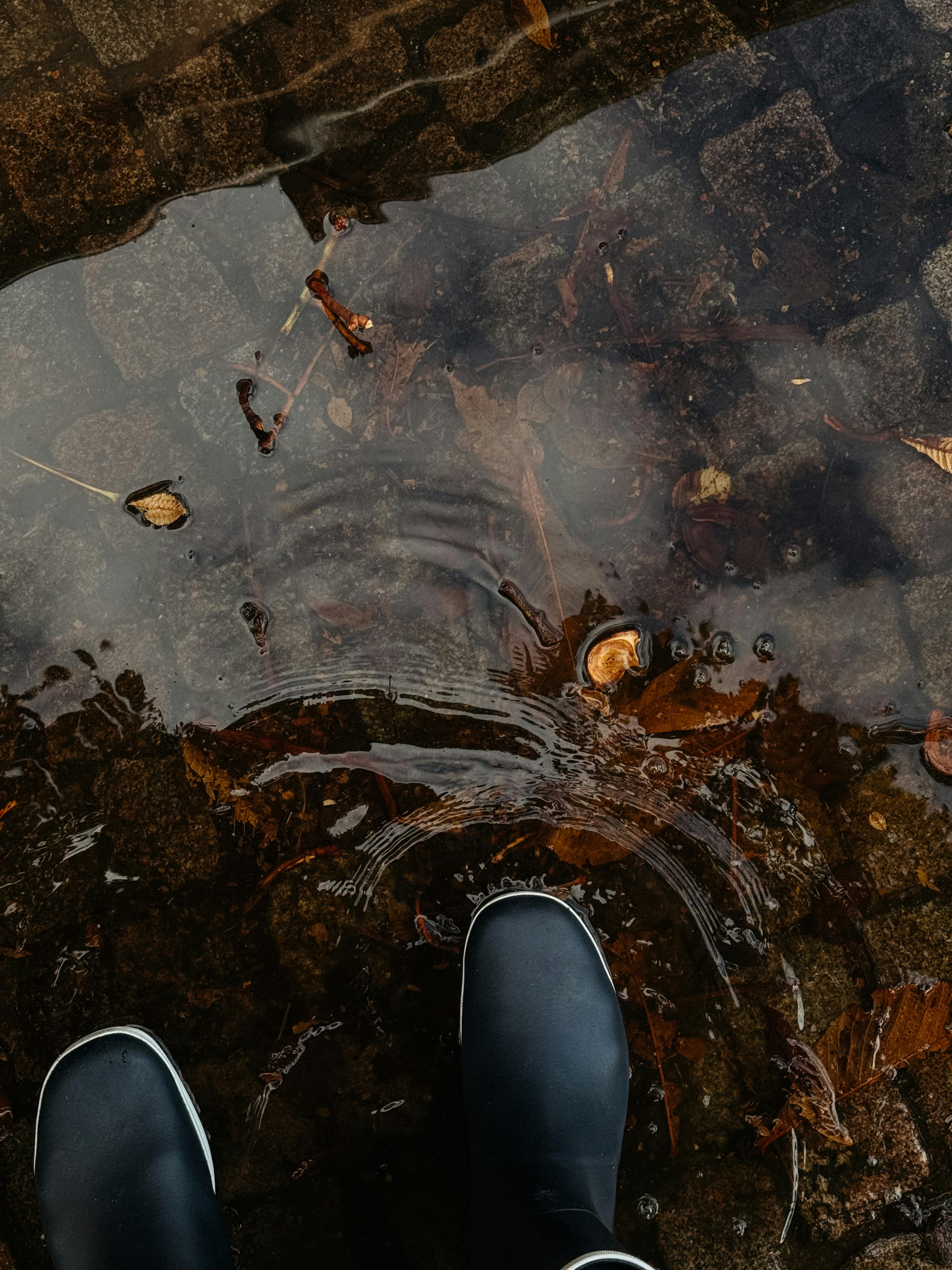 Rainy days