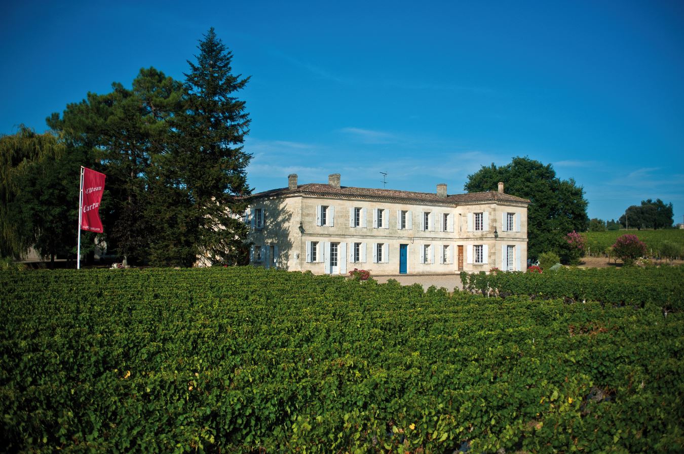 Château Carteau Côtes Daugay