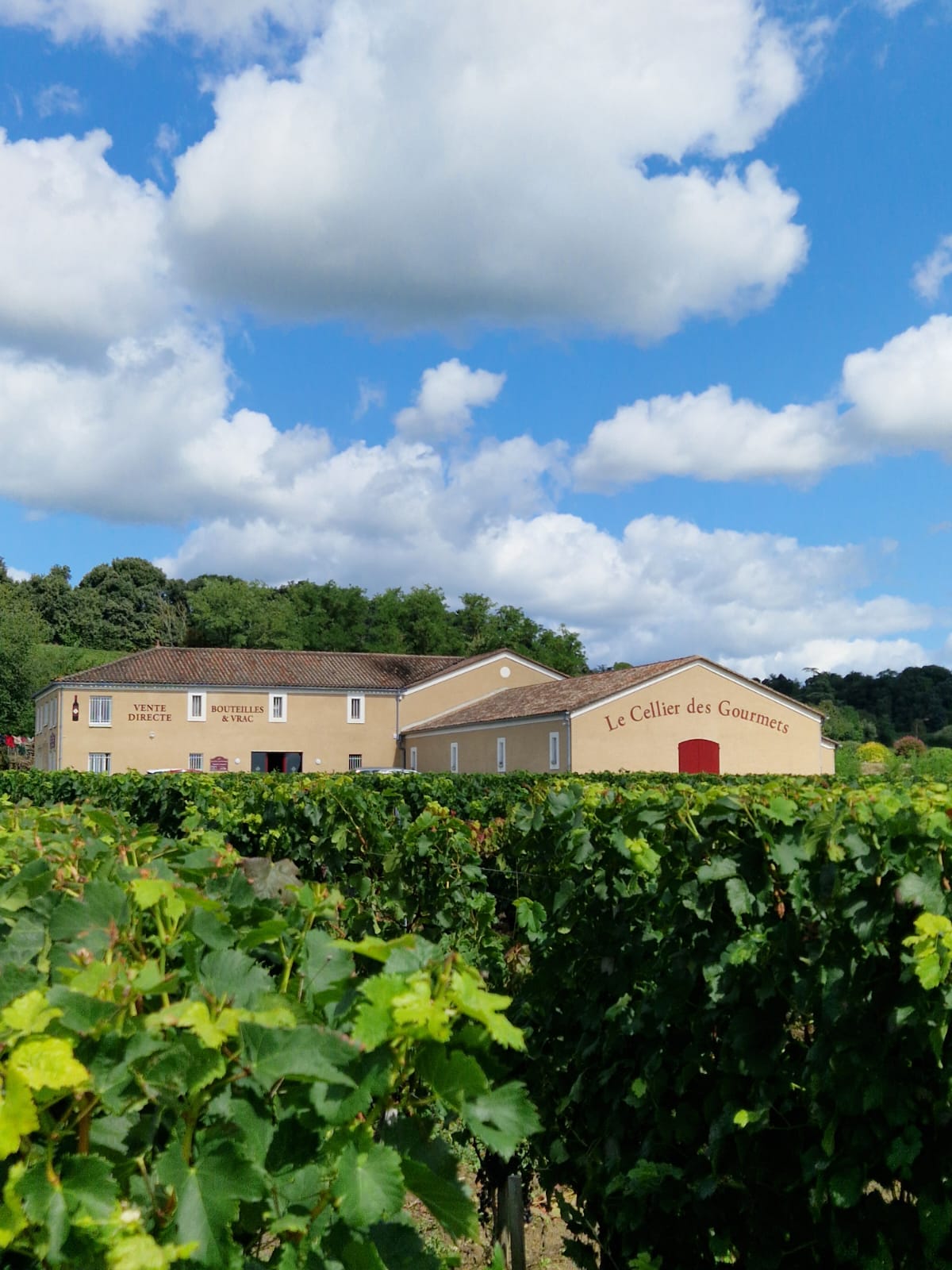 Le Cellier des Gourmets